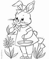 Easter Coloring Bunny Pages Para Pascoa Pintar Colouring Bunnies Colorir Adult Desenhos Print Desenho Coelhinho Sheets Color Da Printing Help sketch template