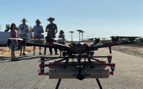 beneficial insect drones lodi growers