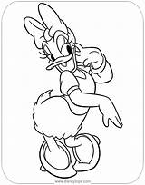 Daisy Coloring Pages Duck Disney Mouse Colouring Mickey Sheets Donald Printable Minnie Drawing Disneyclips Pdf Choose Board Posing sketch template