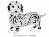 Dachshund Coloring Pages Puppy Getcolorings Adult sketch template