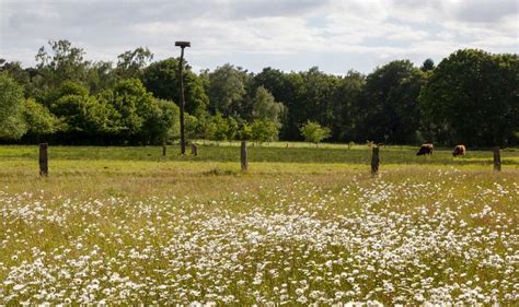 ontdek de natuur hoeve springendal pumpkin patch farmland vineyard camping outdoor