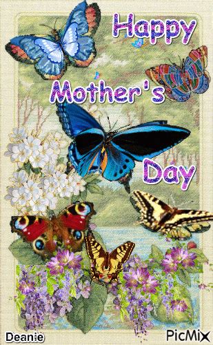 happy mothers day butterflies pictures   images