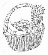 Basket Fruit Drawing Sketch Clipart Food Line Baskets Bowl Fruits Step Vector Vegetable Getdrawings Drawings Healthy Coloring Kawaii Truck Template sketch template