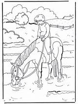 Pferd Wasser Paard Paarden Ausmalbilder Pferde Colorare Colouring Horse Caballos Caballo Cavalli Nellacqua Chevaux Dieren Leau Advertentie Tiere Nukleuren Naar sketch template
