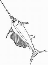 Swordfish Coloring Pages Sailfish Fish Strong Very Color Recommended Getcolorings Getdrawings Printable sketch template