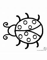Coccinella Coccinelle Stampare Disegnare Disegnidacolorareonline Segnalibro Insetti Ladybug Animaletti Dipinti Gufi Semplici Oppure Agli Vai Colorato sketch template