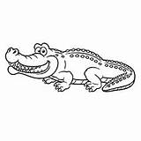Crocodile Alligator Clipart Coloring Pages Outline Printable Toddler St Small Freshwater Cute Top Webstockreview sketch template