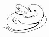 Snake Coloring Anaconda Draw Pages Printable Kids Clipartmag Pencil Drawings Clipart sketch template