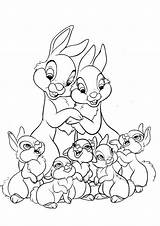 Bambi Malvorlagen Ausdrucken Hasen Druckvorlage Mandalas Walt Ausmalbildertv Piolin sketch template