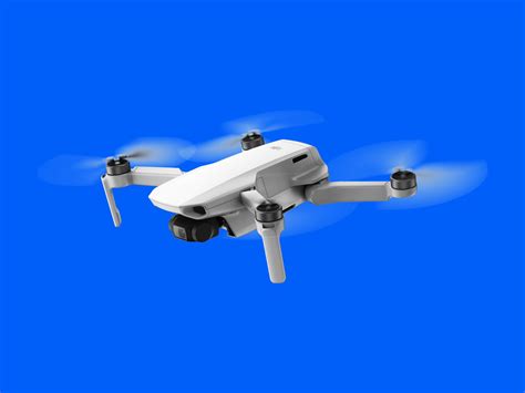 dji mavic mini review   drone   people wired