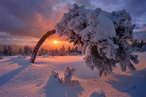 snow winter germany landscape sunlight nature wallpapers hd