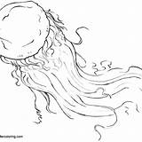 Jellyfish Tagged sketch template