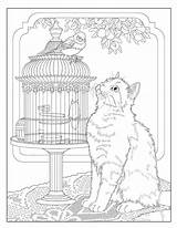 Coloring Cats Creative Book Choose Board Pages sketch template