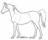 Horse Arabian Coloring Pages Lineart Horses Drawing Deviantart Printable Drawings Color Getcolorings Choose Board sketch template