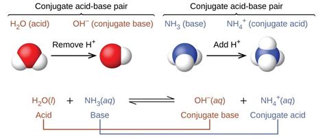 bronsted lowry acids  bases chemistry