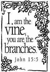 Vine Branches Am Coloring Clipart Scripture Clip Pages Jesus Printables Bible Tif 4catholiceducators John Clipground Vines Quotes Sunday School Large sketch template