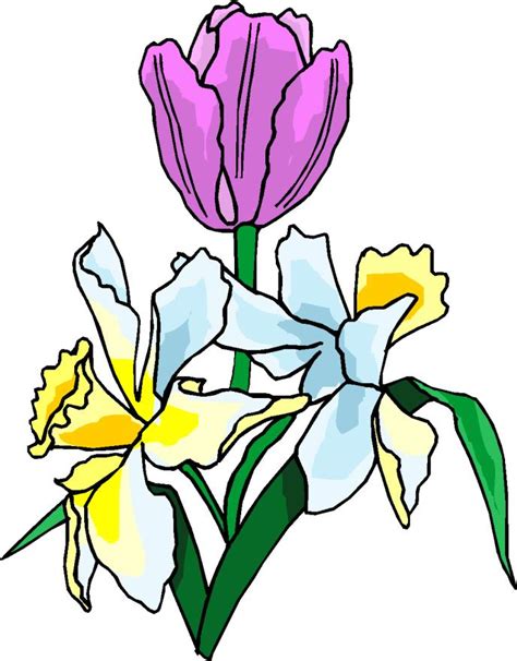 Easter Lily Clipart Free Download On Clipartmag