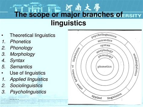 linguistics  students  english powerpoint