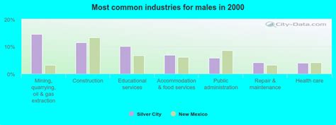 silver city new mexico nm 88061 profile population