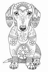 Coloriage Imprimer Dachshund Animaux Fabuleux Cani Dessins Cane Bassotto sketch template