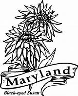State Coloring Maryland Flowers Pages Flower Drawing Kids Ohio Google Kentucky Party Flag Eyed Susan Getdrawings Gif Printable Crown sketch template