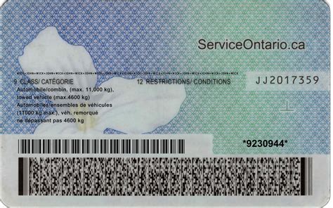 ontario drivers license psd template   templates