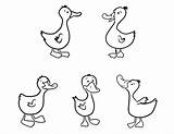 Ducks Little Duck Coloring Five Clipart Pages Kids Printable Print Color Colorear Para Patos Animal Worksheets Niños sketch template