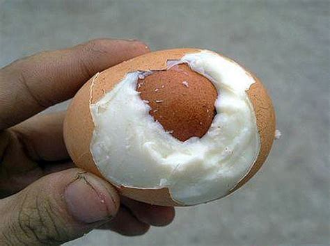 real eggs   eggs
