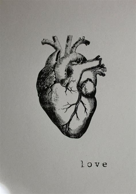 love print anatomical heart tatuaggi cuore anatomico cuore