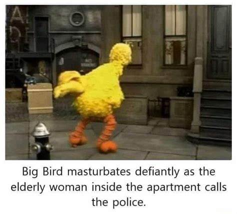 Big Bird Masturbates Defiantly As The Elderly Woman Inside The