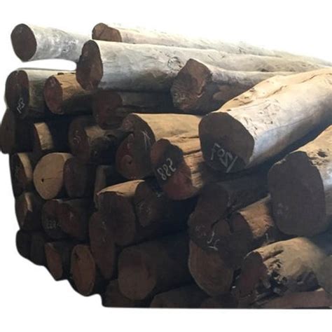 valsadi sagwan timber logs  rs cubic feet logs  wood