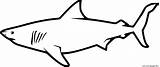 Squalo Colorare Shark Disegni Bianco Bambini Pesce Squali Martello Disegnidacolorare sketch template