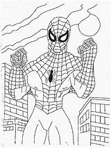 Parker Spiderman Peter Coloring Drawings sketch template