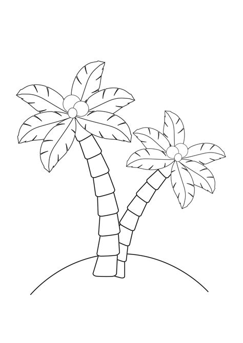 palm trees coloring pages