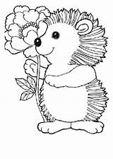 Hedgehogs Coloring Kids Pages Fun sketch template