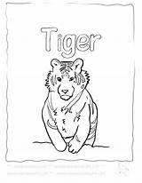 Tiger Coloring Tooth Pages Saber Clemson Color Getcolorings Getdrawings Printable Colorings sketch template