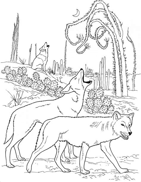 realistic wolf coloring page  adult coloringbay