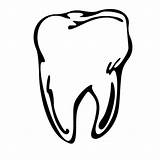 Tooth Molar Clipart Drawing Clip Transparent Line Teeth Dental Cliparts Tom Clipartbest Wisdom Floss Clipartmag Library Getdrawings Clipground Use sketch template