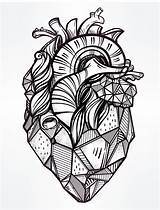 Heart Coloring Pages Printable Adult Drawing Valentines Human Tattoo Line Cry Later Now Real Drawings Cool Geometric Adults Lungs Doodle sketch template