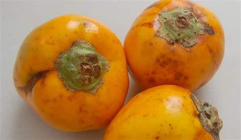 panama s top 5 weirdest healthiest most delicious fruit