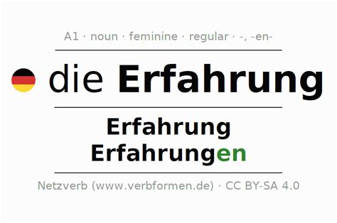 declension german erfahrung  cases   noun plural article netzverb dictionary