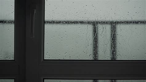 raining  view  window stock footage sbv  storyblocks