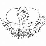 Savana Elefante Colorir Passeando Imprimir sketch template