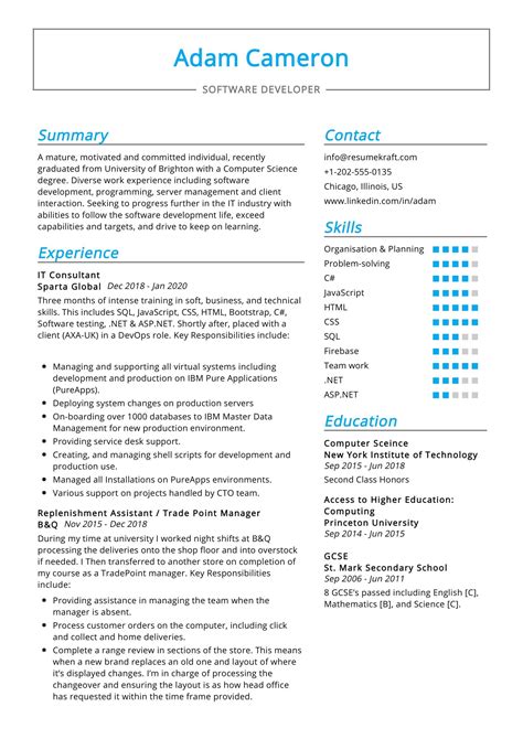 resume  resume layout  examples  templates