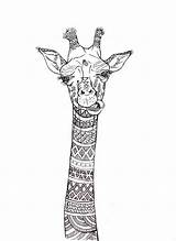 Drawing Giraffe Behance Pages Coloring Mandala Sketches Animal Drawings Designs Maggi Anna Choose Board Adult Visit Cool sketch template
