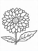 Dahlie Coloriage Plantes Ausmalbilder Adults Ausmalbild Impressionnant Photographie Dahlien Blume Stiel Sonnenblumen Pinnwand Auswählen sketch template