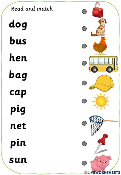 phonics  worksheet  grade     exercises