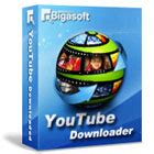 bigasoft youtube downloader youtube downloader software