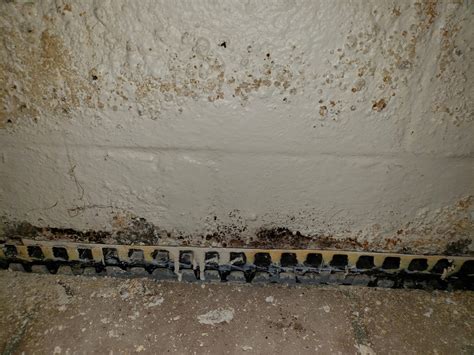 wet basement help how fucked is this homeimprovement