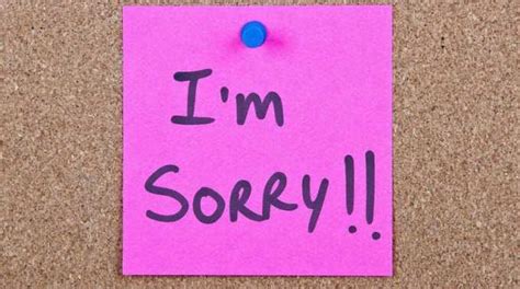 i m sorry isn t enough here are the 3 steps to apologizing effectively conscious life news